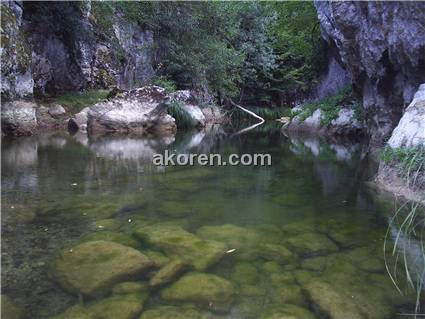 Yacı - Yacı &#199;ayı (Sakaralan &#199;ayı)