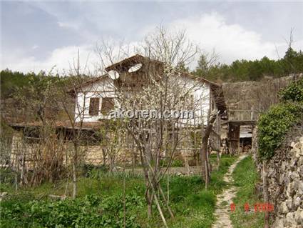 Mologilin'in evi (Mollaağagil) 