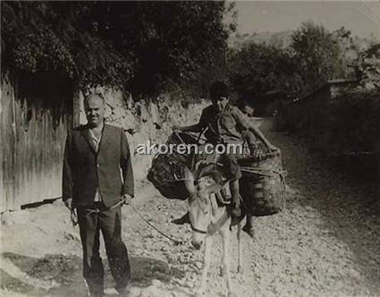 Hayamagilin merkebiyle Kadıb&#252;k&#252;'ne gidiş